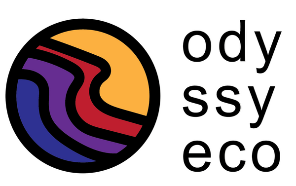 Logo with colorful circular design and 'ody ssy eco' text on a white background